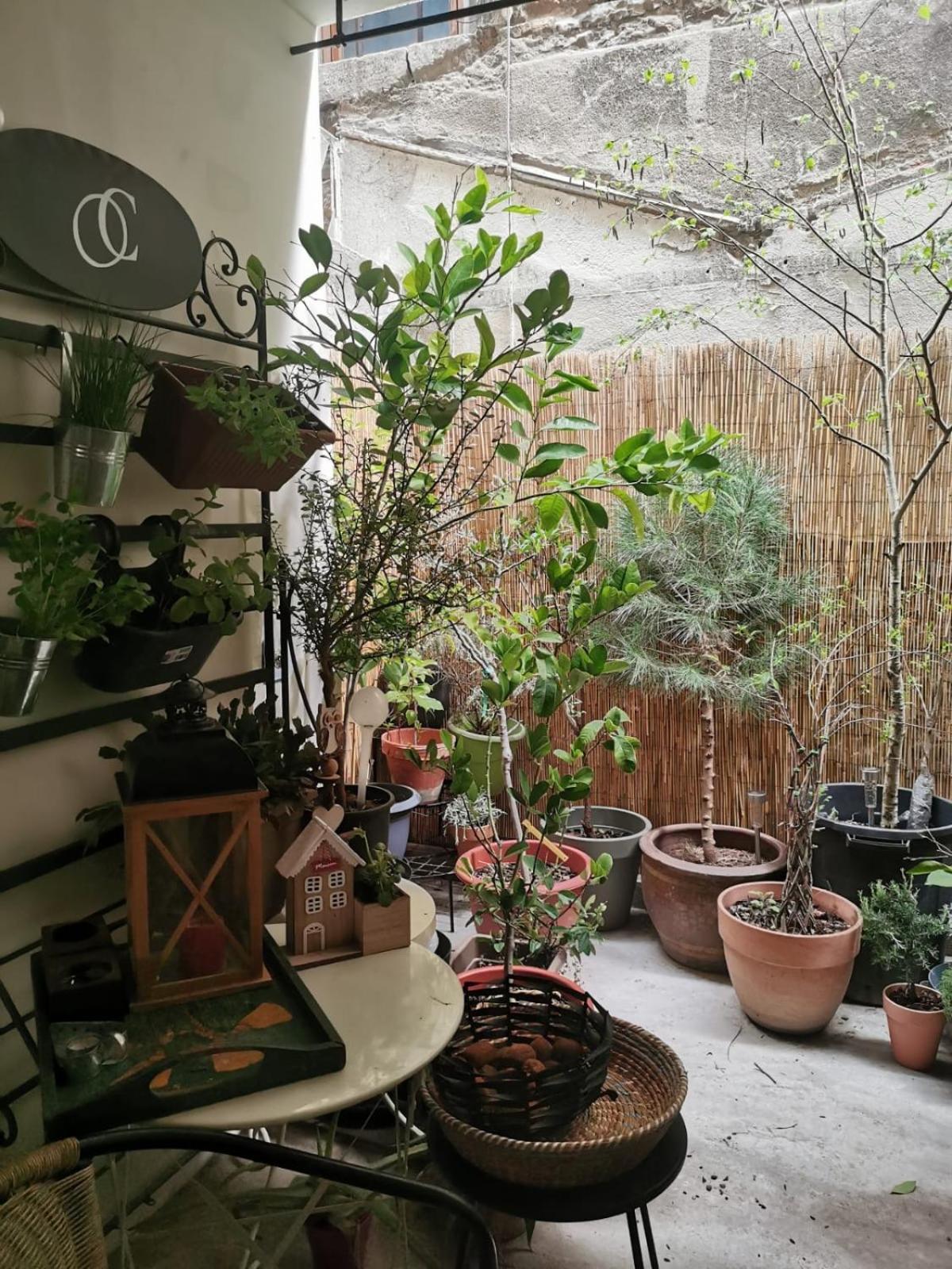 La Maison D'Aromarie Tournus Extérieur photo